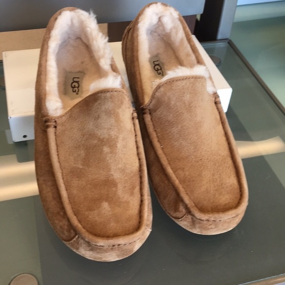 ugg ascot chestnut